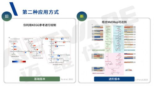 代谢通路图绘制,science nature文章经典基因筛选思路